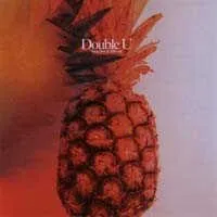 Pochette de disque 235