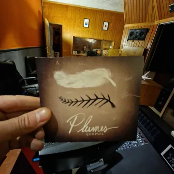 Pochette de disque 154